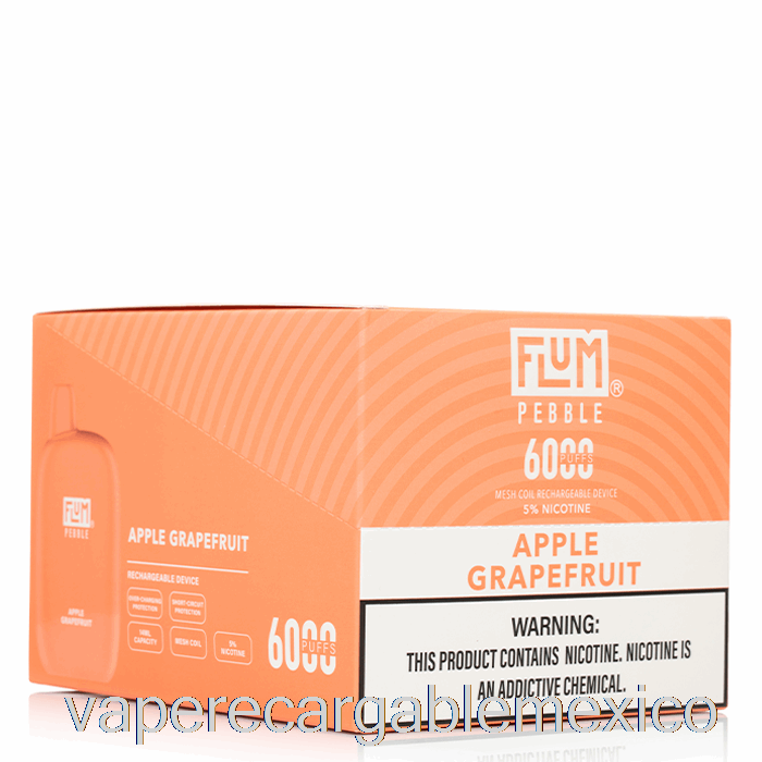 Vape Recargable [paquete De 10] Flum Pebble 6000 Desechable